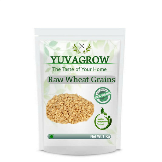 Yuvagrow Raw Wheat Grains - buy in USA, Australia, Canada