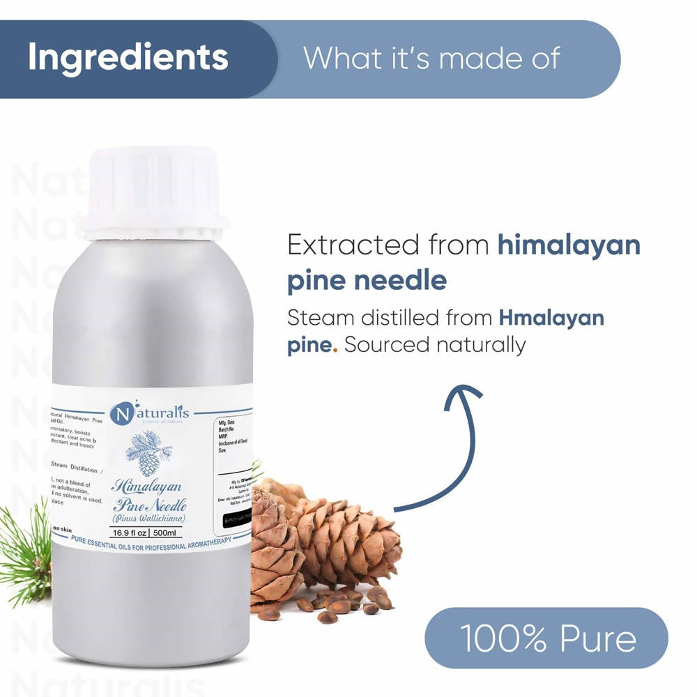 Naturalis Essence Himalayan Pine Needle Essential Oil