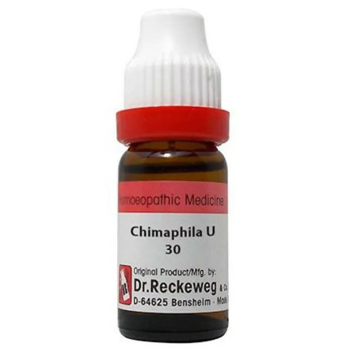 Dr. Reckeweg Chimaphila Umb Dilution - usa canada australia