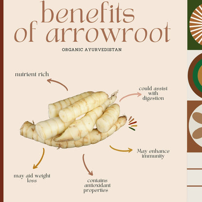 Organic AyurveBUDNEn Arrow Root Powder