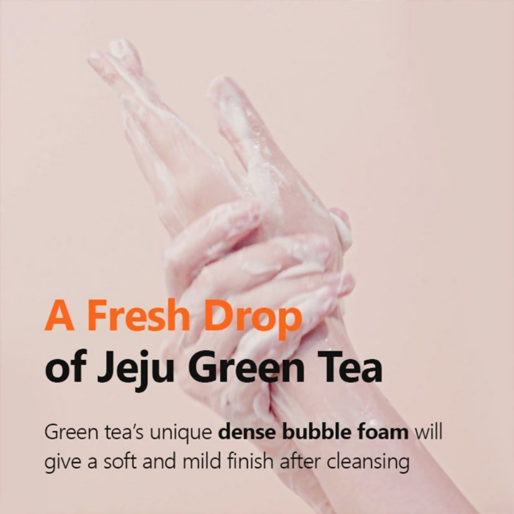 Isntree Green Tea Fresh Cleanser