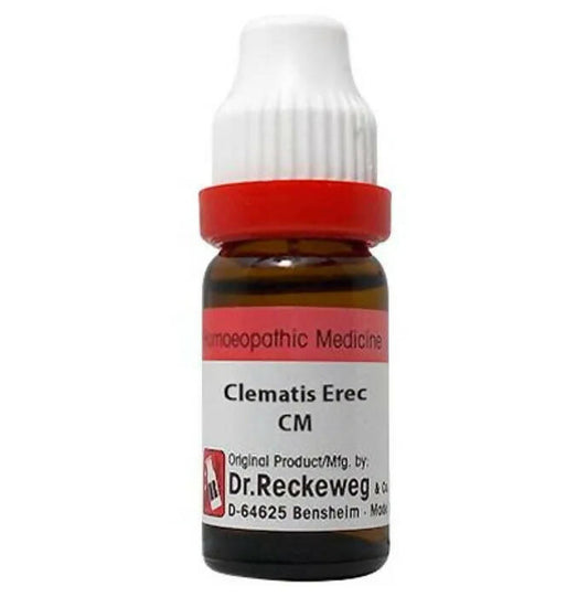 Dr. Reckeweg Clematis Erec Dilution - usa canada australia