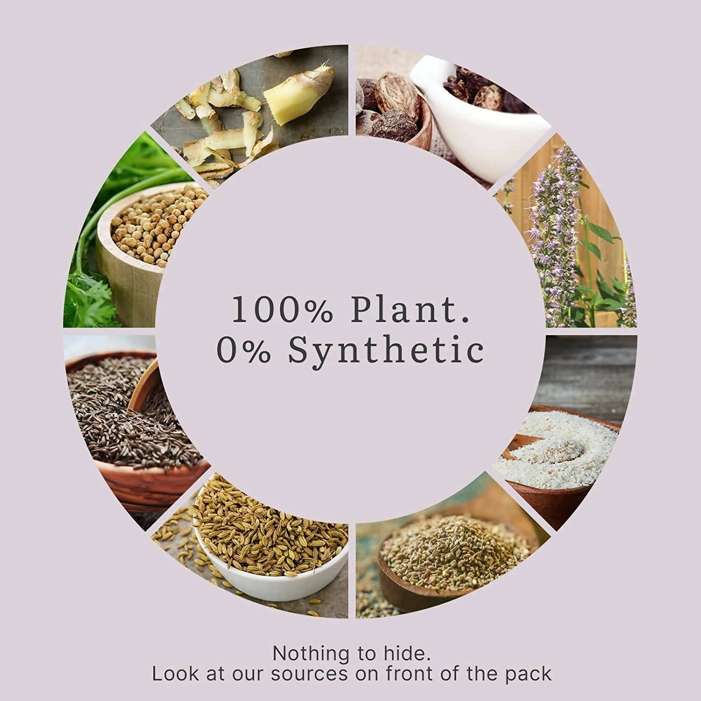 Earthful Gut Health Supplement - 100% Plant Based