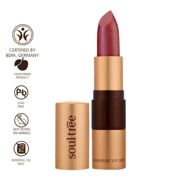 Soultree Ayurvedic Lipstick Iced Plum 520