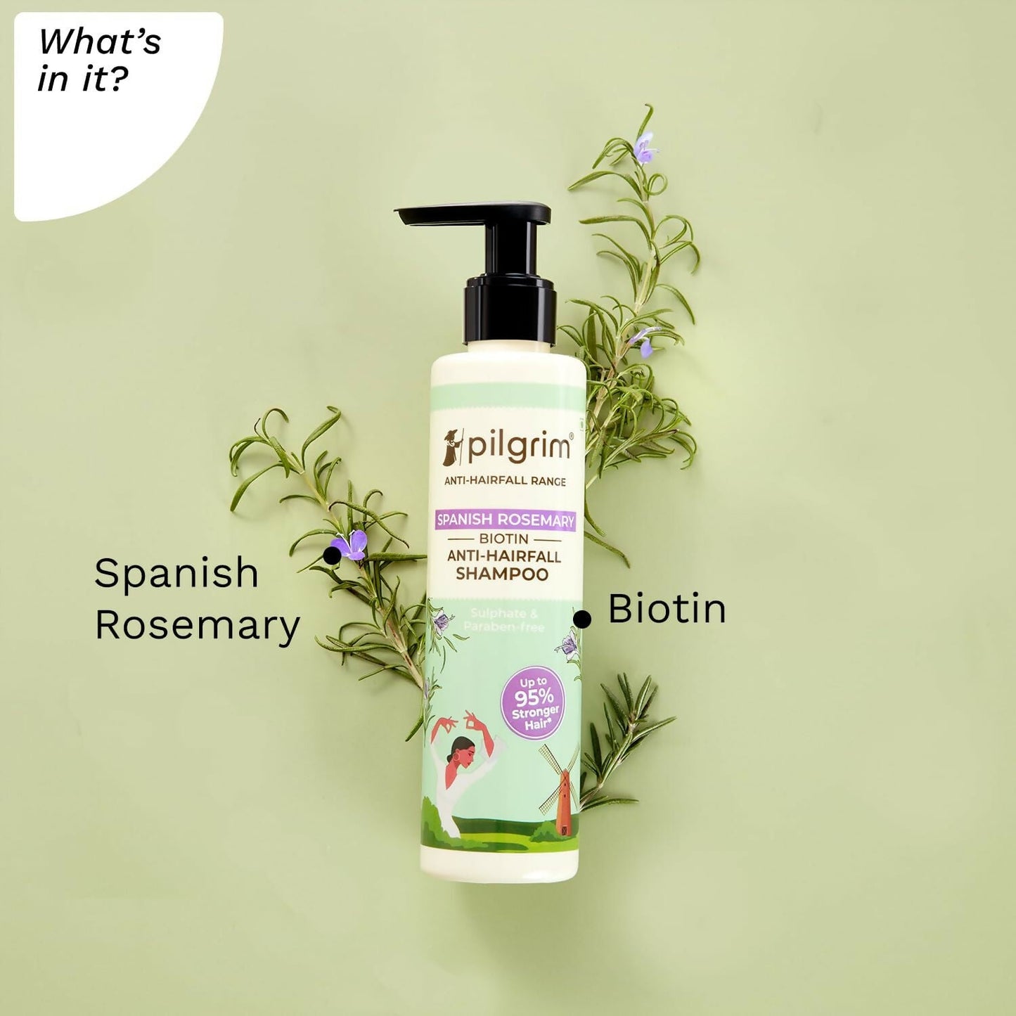 Pilgrim Spanish Rosemary & Biotin Anti Hairfall Shampoo For Reducing Hair Loss & Breakage