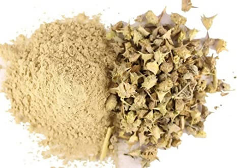 Hebsur Herbals Gokhru (Neglimul) Powder