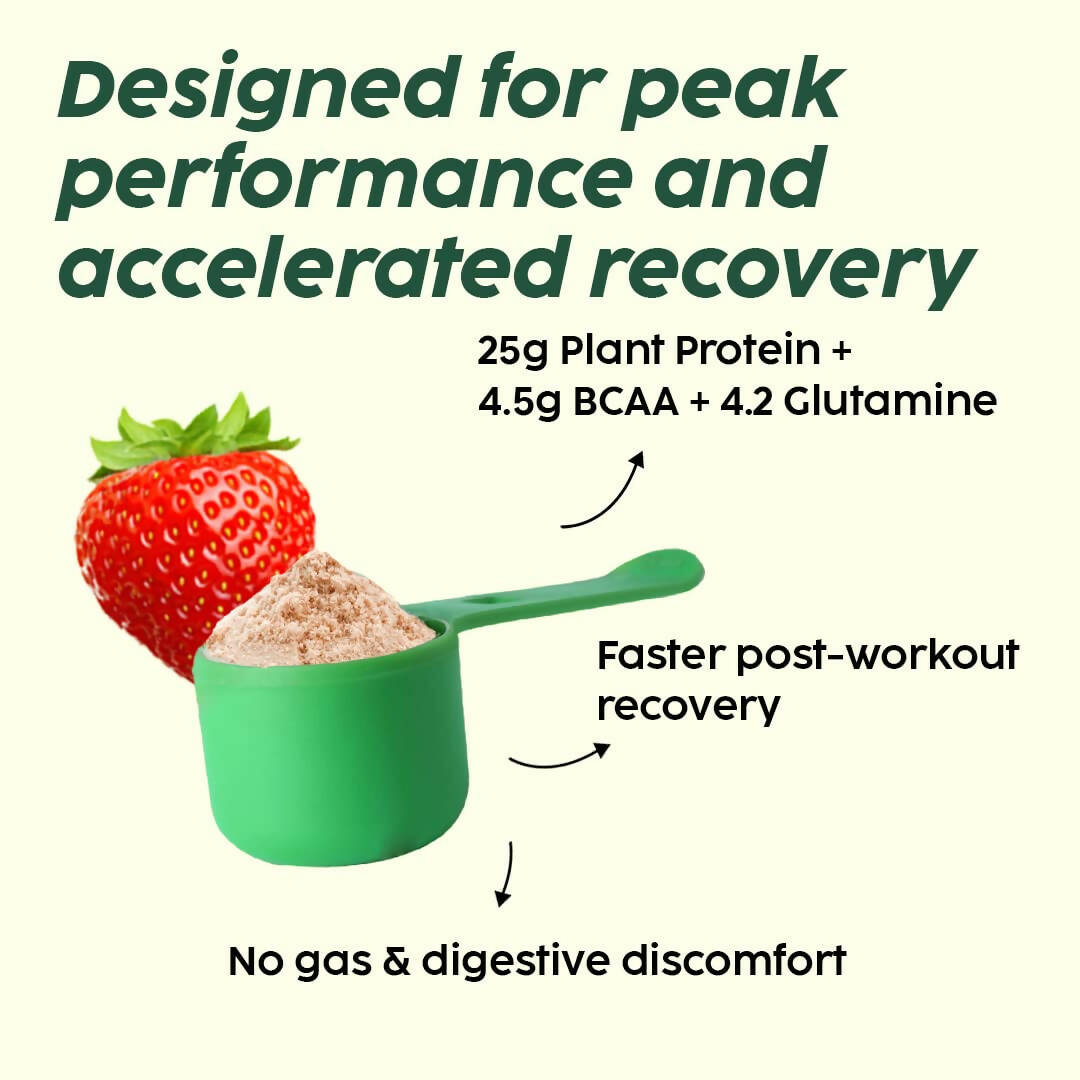 PLIX The Plant Fix Evolve Plant Protein Shake Powder - Mixed Berry