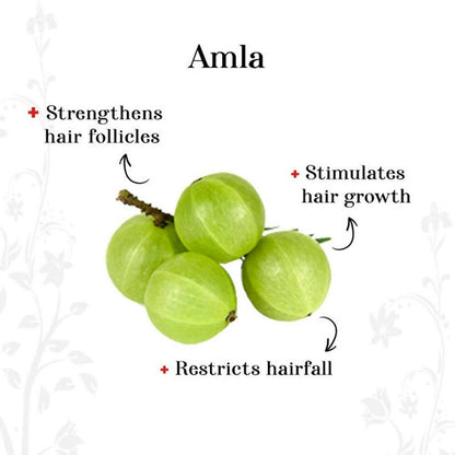 Alps Goodness Amla Reetha & Shikakai Powder