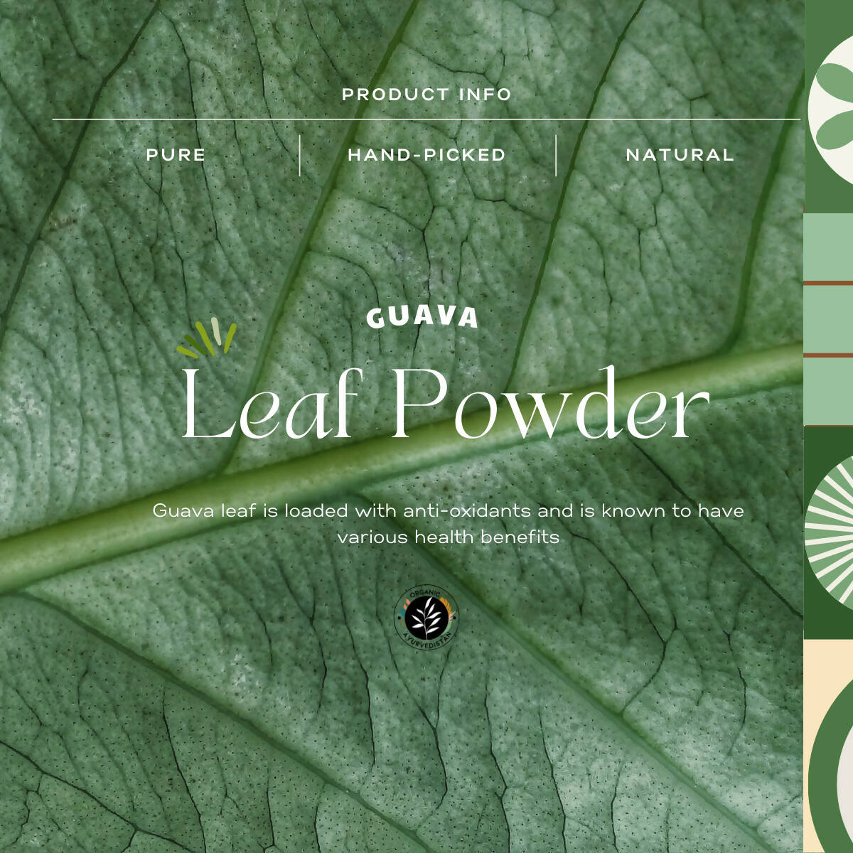 Organic Ayurve USA, Australia, Canada n Guava Leaves Powder
