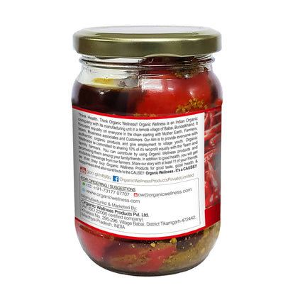 Organic Wellness Red Chilli Pickle