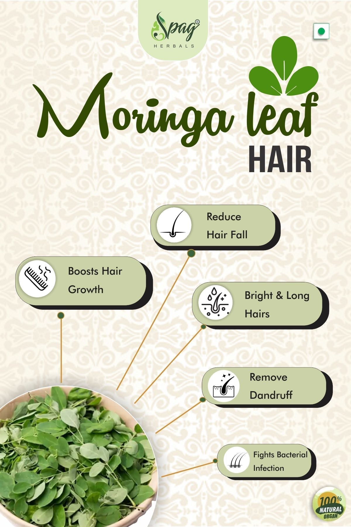 Spag Herbals Premium Moringa Leaf Powder