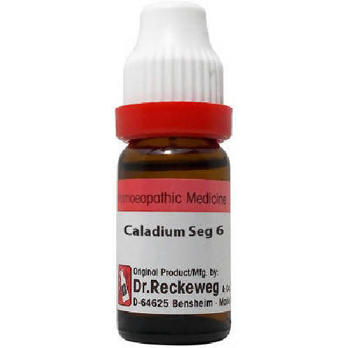 Dr. Reckeweg Caladium Seg Dilution