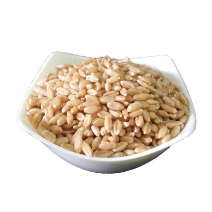 FreshOn Whole Wheat Atta Standard