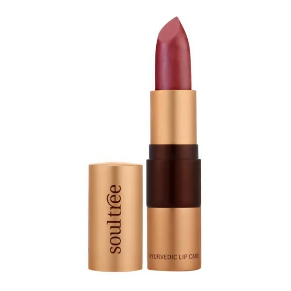 Soultree Ayurvedic Lipstick Iced Plum 520