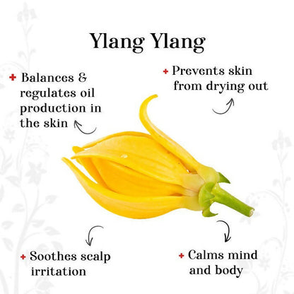 Alps Goodness Ylang Ylang Essential Oil