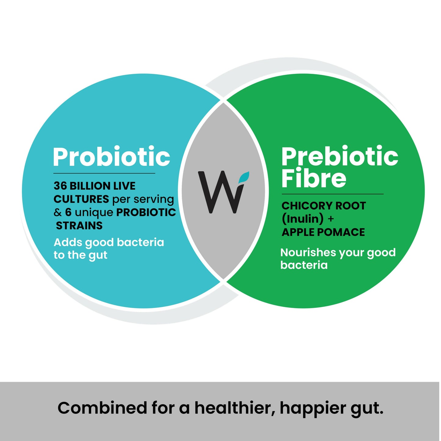 Wellbeing Nutrition Probiotic + Prebiotic Effervescent Tablets-Green Apple & Mint Flavor