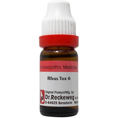 Dr. Reckeweg Rhus Tox 6 Dilution - BUDNE