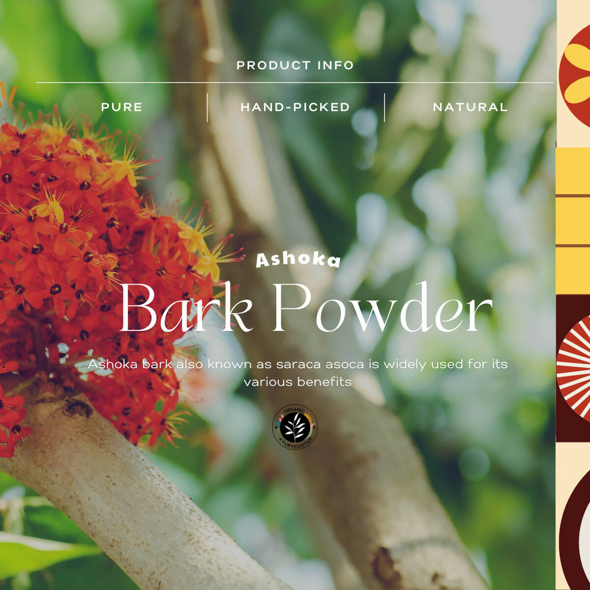 Organic AyurveBUDNEn Ashoka Bark Powder