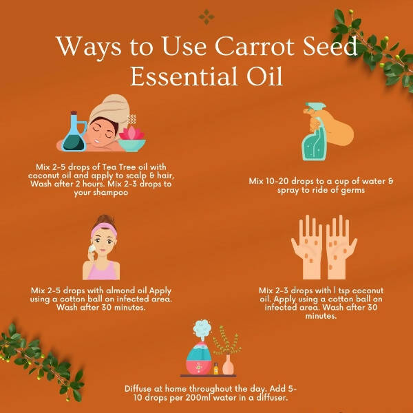 Organicos Carrot Seed Essential Oil
