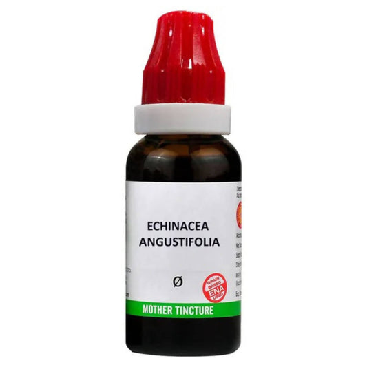 Bjain Homeopathy Echinacea Angustifolia Mother Tincture Q - usa canada australia