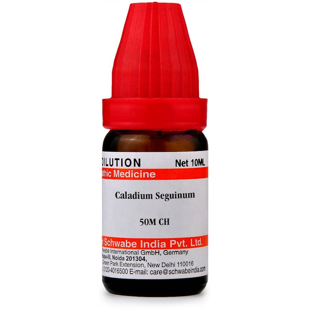 Dr. Willmar Schwabe India Caladium Seguinum Dilution - BUDNE