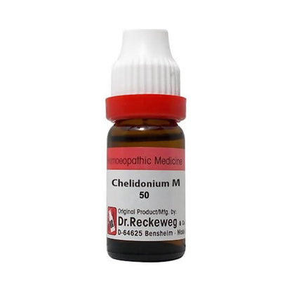 Dr. Reckeweg Chelidonium Maj Dilution - BUDNE