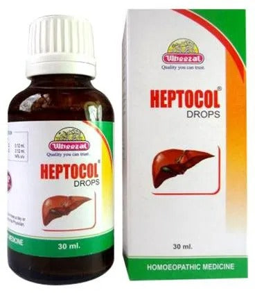 Wheezal Homeopathy Heptocol Drops - BUDEN