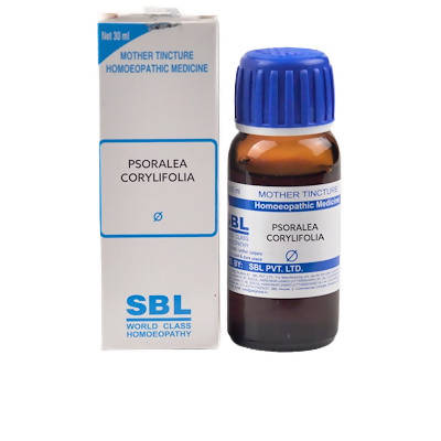 SBL Homeopathy Psoralea Corylifolia Mother Tincture Q - BUDEN