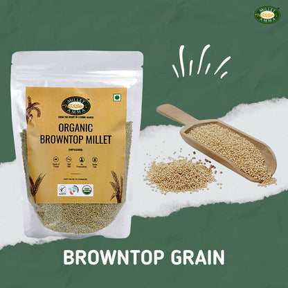 Millet Amma Organic Browntop Millet Grains
