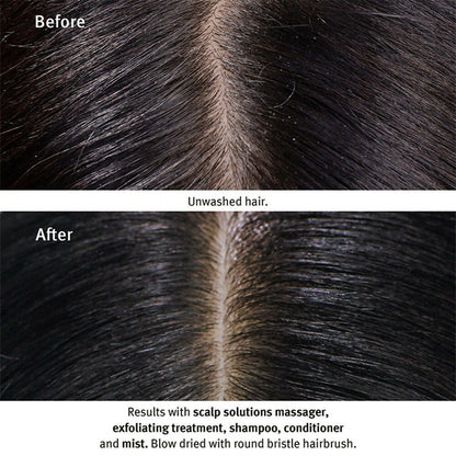 Aveda Scalp Solutions Exfoliating Scalp Treatment