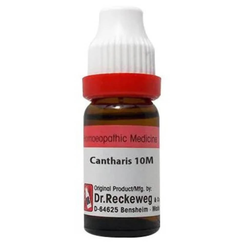 Dr. Reckeweg Cantharis Dilution - BUDNE