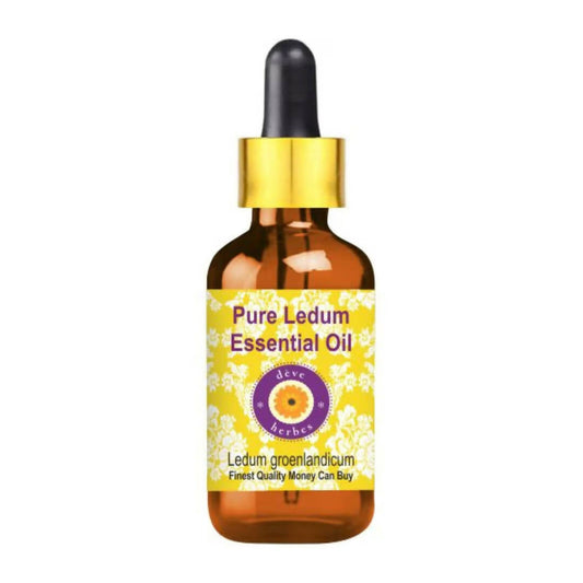 Deve Herbes Pure Ledum Essential Oil - BUDNEN