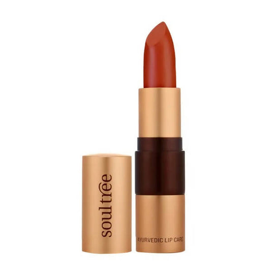 Soultree Ayurvedic Lipstick True Brick 813