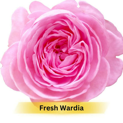 Prakriti Herbal Soap Fresh Wardia