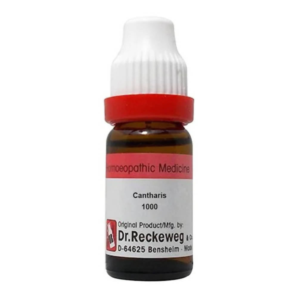 Dr. Reckeweg Cantharis Dilution - BUDNE