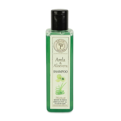 Tatvik Ayurveda Amla & Aloe Vera Shampoo - BUDEN