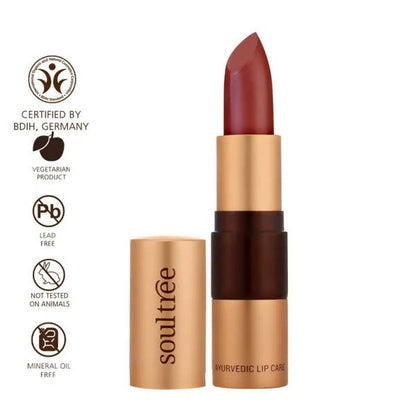 Soultree Ayurvedic Lipstick Cocoa Rich 906