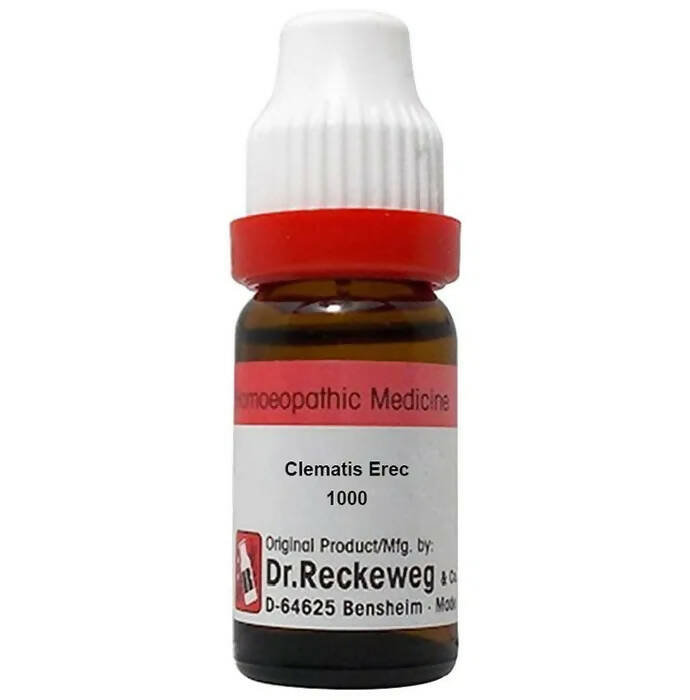 Dr. Reckeweg Clematis Erec Dilution - usa canada australia