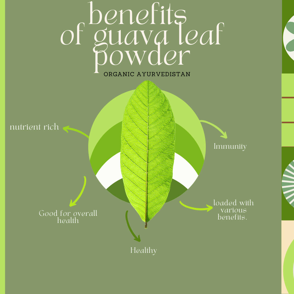 Organic Ayurve USA, Australia, Canada n Guava Leaves Powder