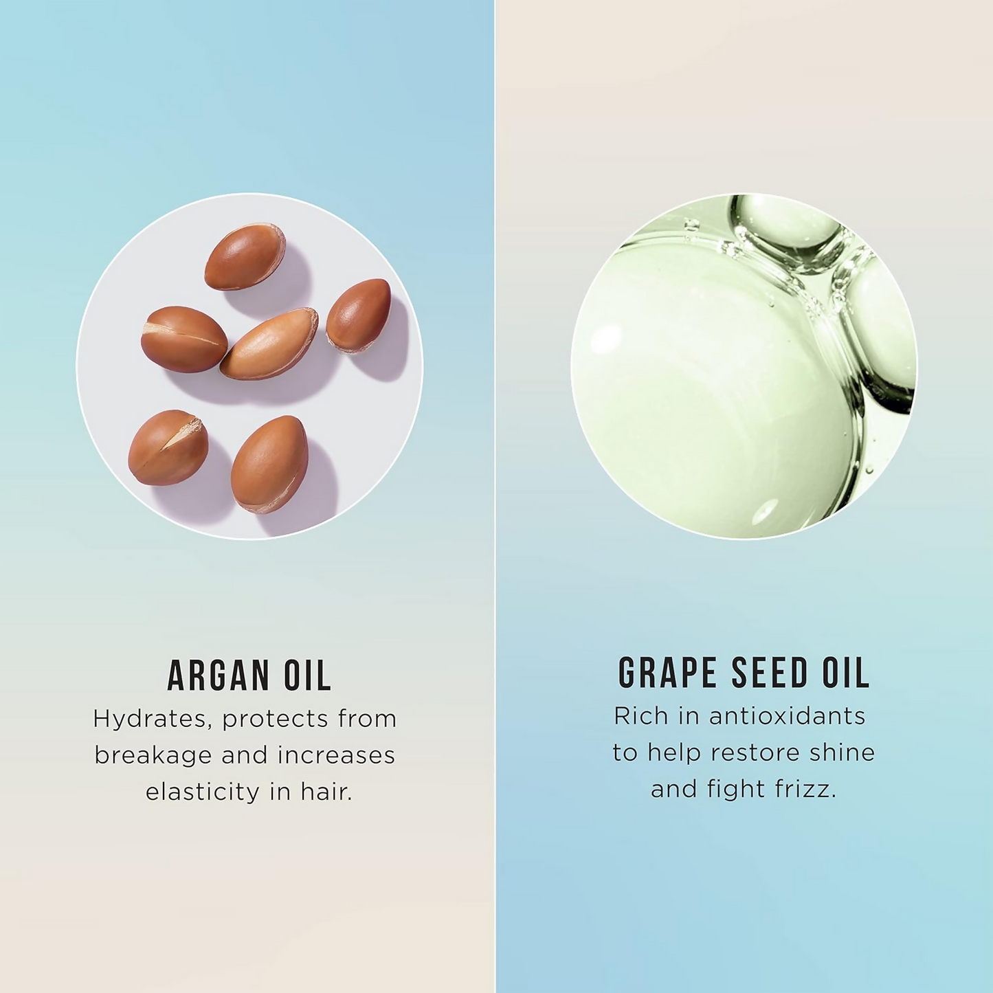 HASK Argan Oil Repairing Hair Oil