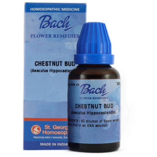 St. George's Bach Flower Remedies Chestnut Bud Dilution